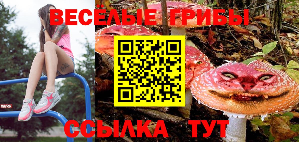 Псилоцибиновые грибы ЛСД Кисловодск