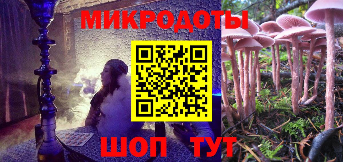 Кисловодск  Псилоцибиновые грибы Psilocybine cubensis  Вход с VPN 